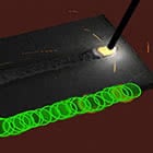 How to access the whip cue